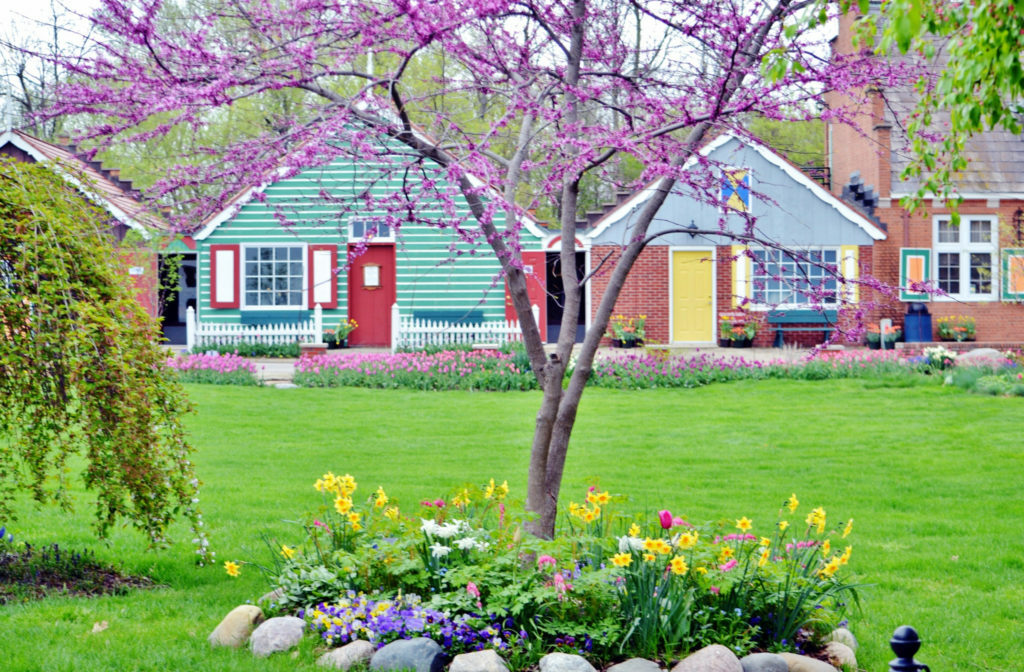 a tree in front of a house