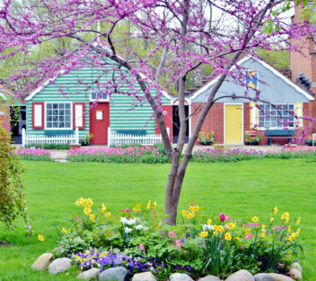 a tree in front of a house