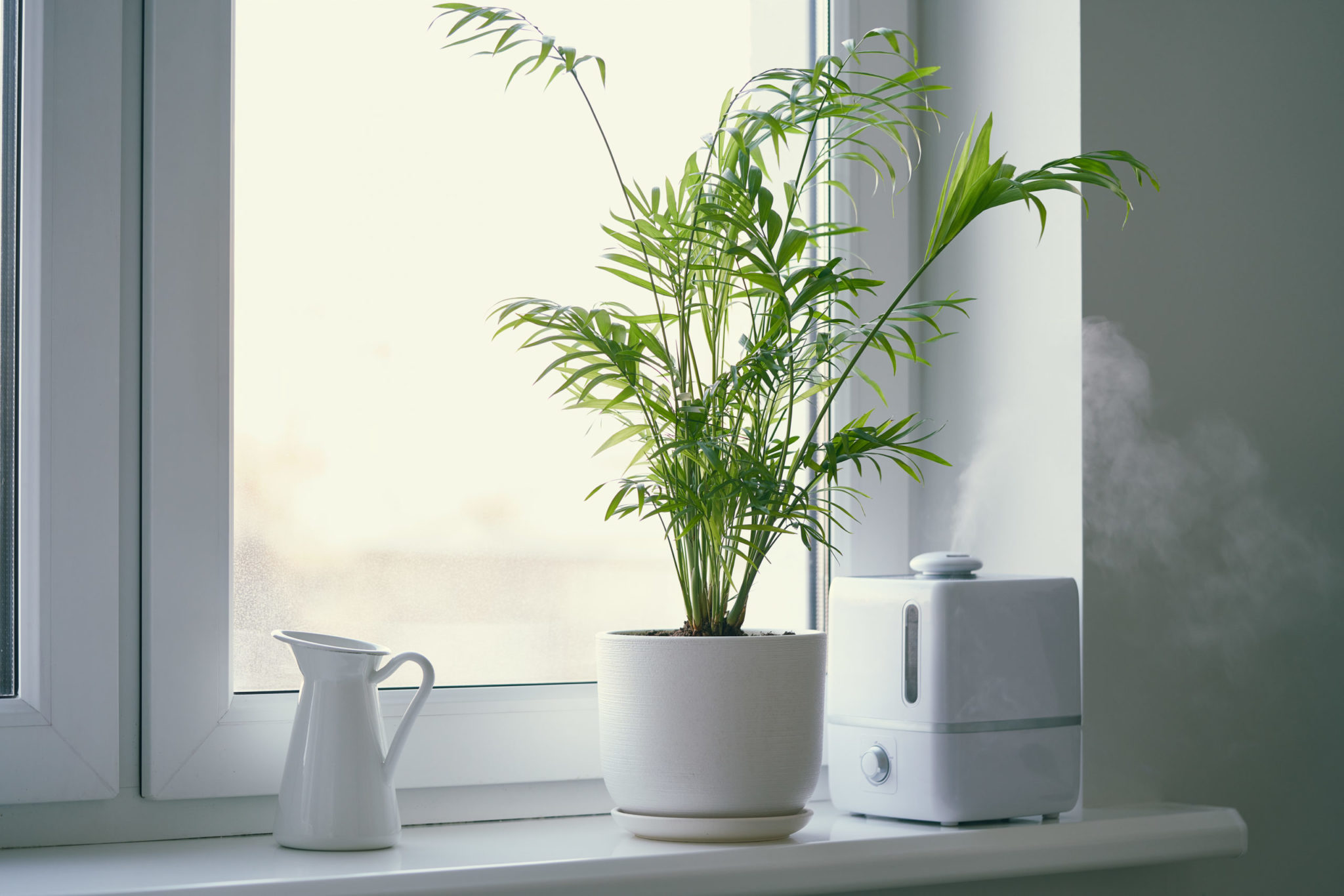 How To Achieve a Comfortable Humidity Level in Your Home S