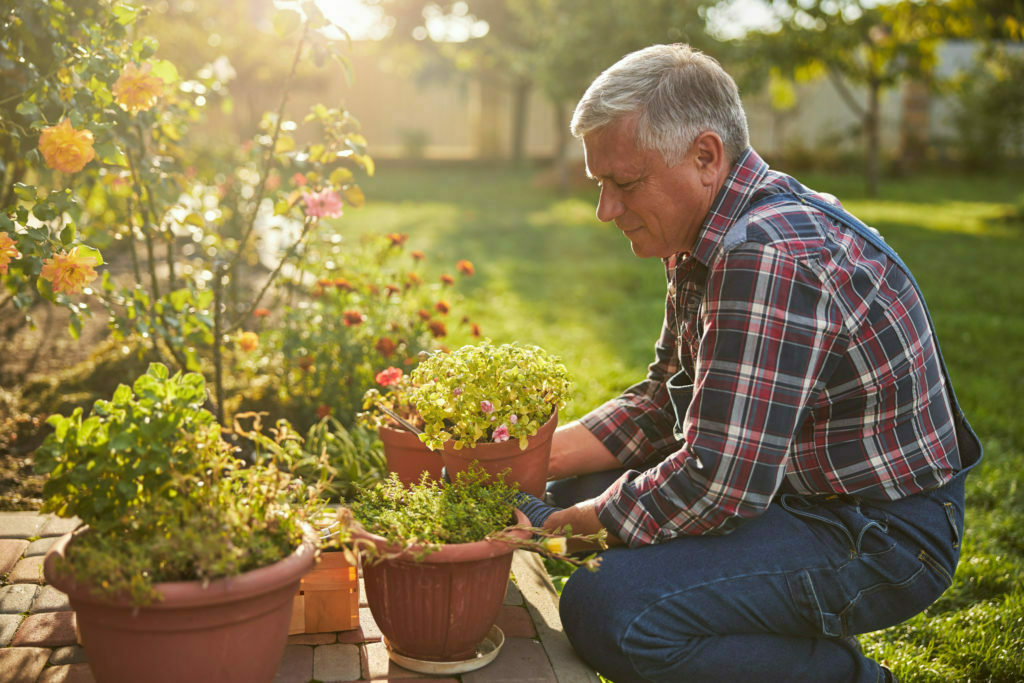 Senior citizen kneeling and holding a blooming potted flower