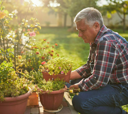 Senior citizen kneeling and holding a blooming potted flower